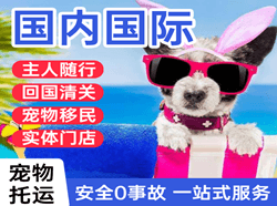 运城机场快递国际宠物托运 【国